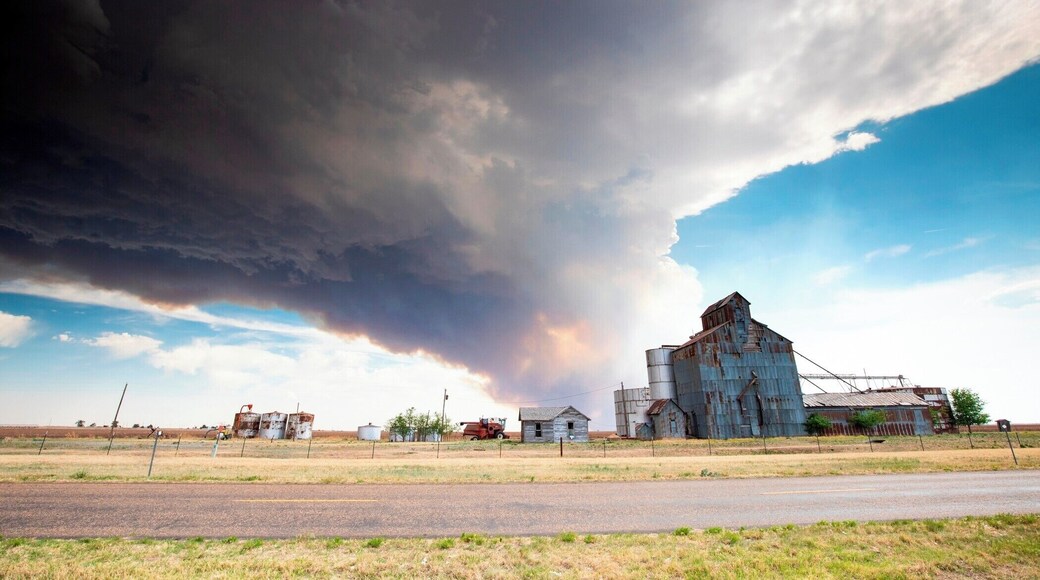 We found this grass fire just off of Route 66, and had to pull over to photograph it. And, I think this scene actually would have worked even without it. Classic Americana.