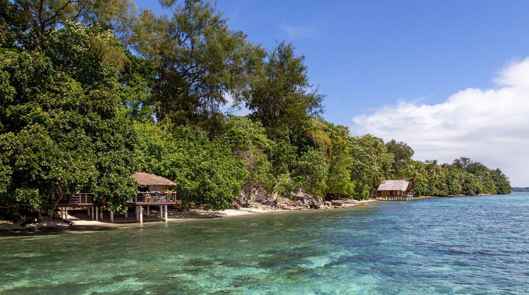 Idyllic tropical resort on calm lagoon waters near Gizo in the Solomon Islands.