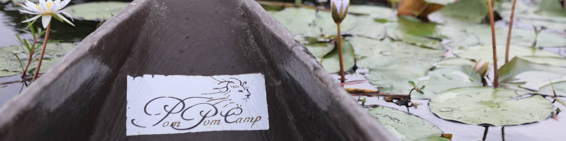 One of the great pleasures of a trip to Botswana and the Delta is taking a mokoro ride. This trip on the water so very low and close gives you a special view of things both big and small. Sitting there listening to the boat glide through the delta hearing he frogs chirping close and the hippos yelling much further away is a special experience that I hope everyone one day gets a chance to experience. I recently blogged about my experience there if you are interested http://circlingthebucketlist.com/index.php/2019/01/14/a-few-days-at-botswanas-pom-pom-camp/