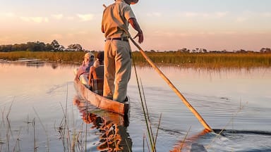 A man paddling a canoe on a calm water body with tall grasses and trees in the background.