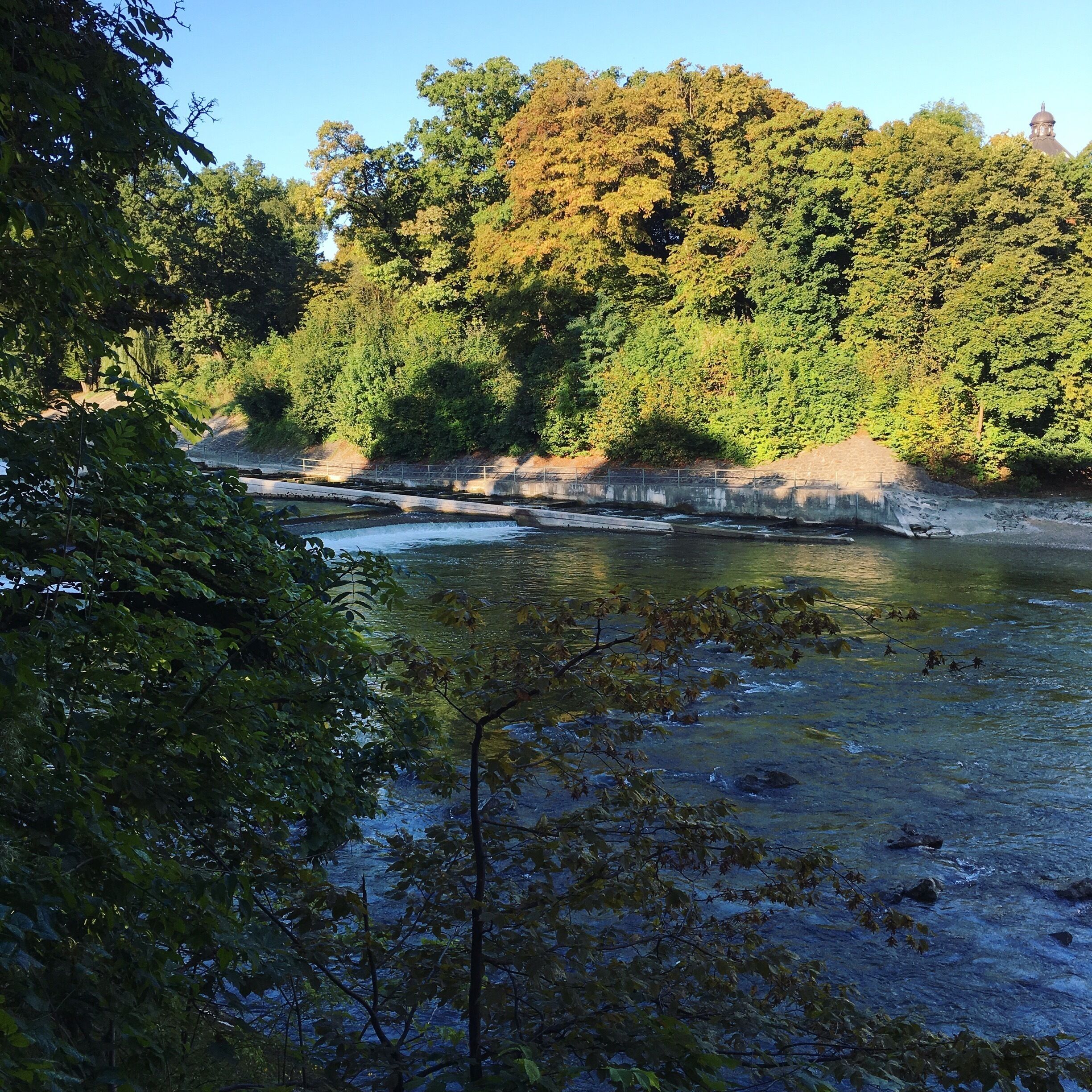Great park for a run! 