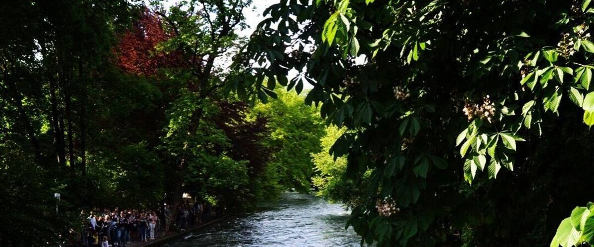 A person surfing on a river surrounded by dense foliage.