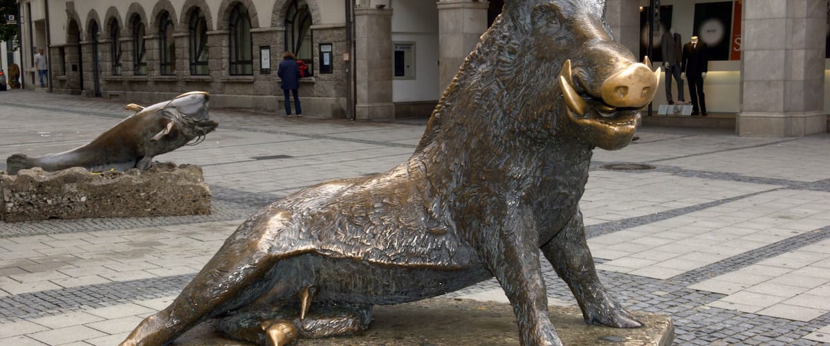 "Sitting wild boar" by sculptor Martin Mayer in Munich. In the area between Marienplatz and Karlsplatz a pig is sitting in front of a church. The sculptures were done for the German Hunting and Fishing Museum. The bronze boar by Martin Mayer has been sitting in front of the museum since 1976.