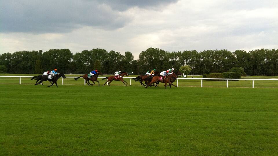 A horse race in progress on a grassy track with a white fence and trees in the background.
