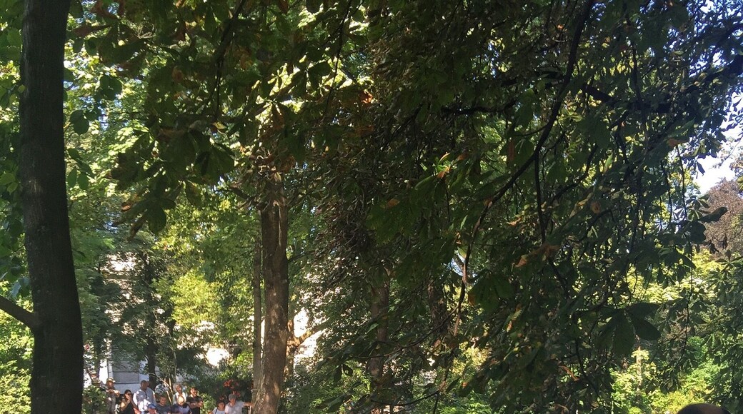 Watching the surfers on the canal in the English Garden in Munich is surprisingly mesmerizing. It's a standing wave created by a shelf on the bottom of the canal, though the surfers tweak the wave with boards on ropes they throw into the water.