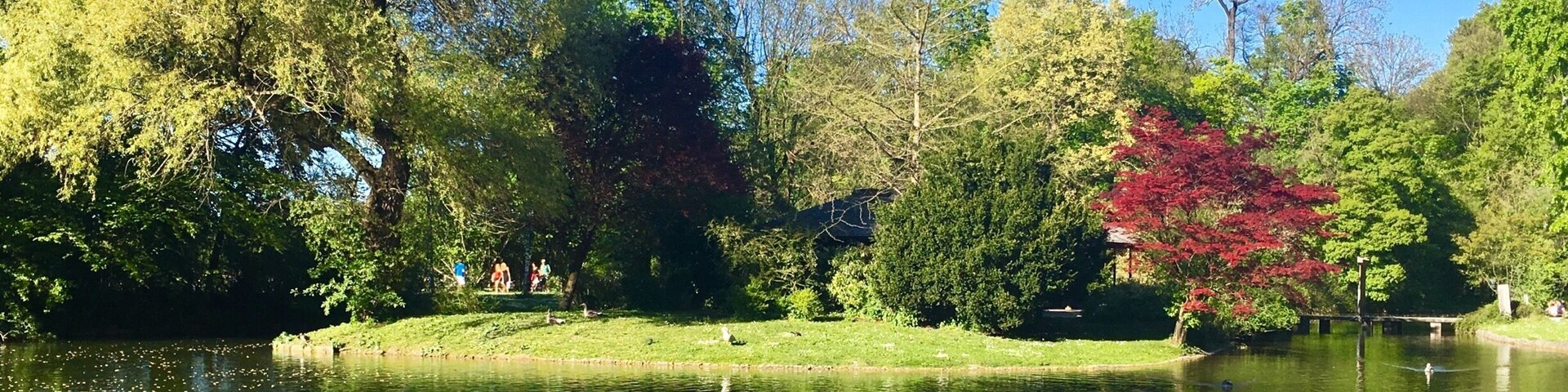 Idyll in the English Garden in the middle of Munich, Bavaria
#green