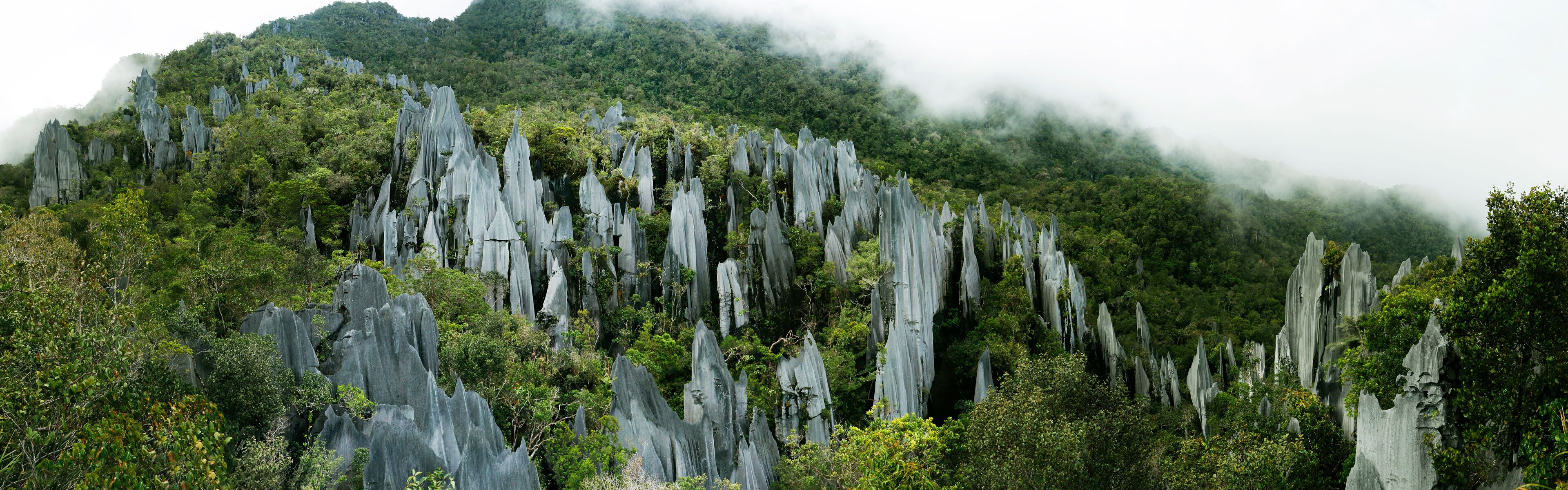 A forested mountain with tall, narrow limestone formations.