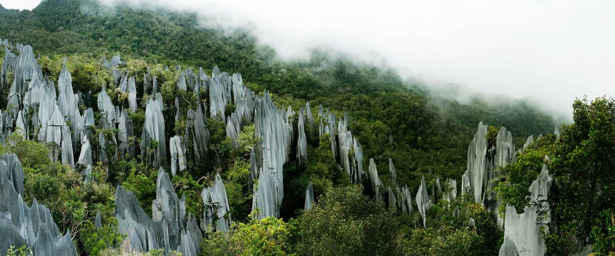 A forested mountain with tall, narrow limestone formations.