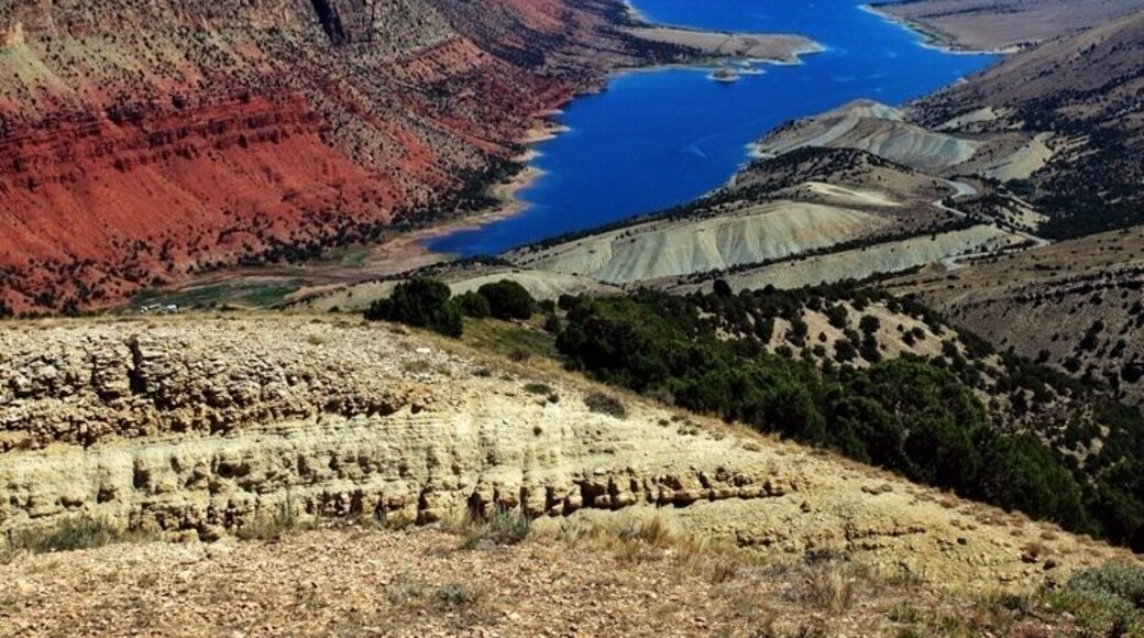 Flaming gorge is something I wasn't expecting. It seemed like it would be a pretty lake, but I didn't expect to see the red rocks flanking the shore line. The overlook that looked down one part of the gorge really shows off how two elements, water and desert, when clashed together can be so beautiful.