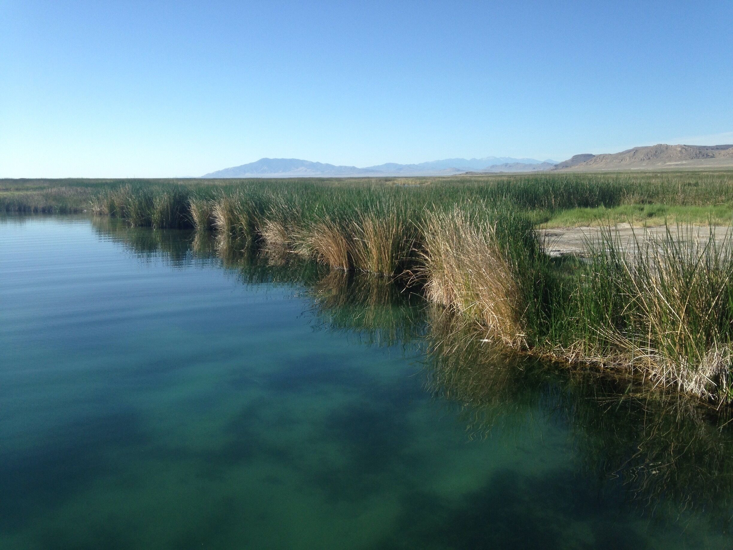 Fresh water #hiking the the desert is a wonderful sign! 