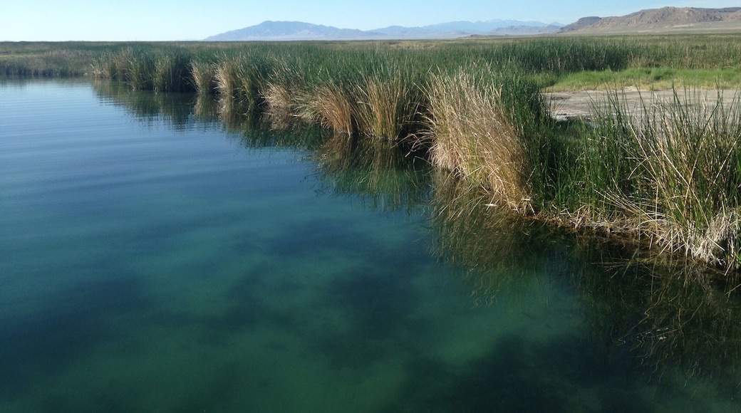 Fresh water #hiking the the desert is a wonderful sign!