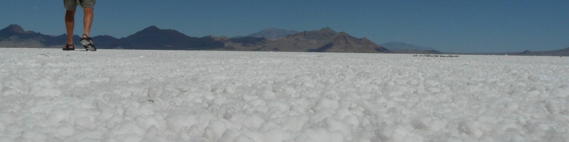 A person standing on a salt flat with mountains in the background.