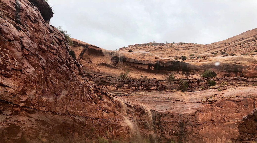 Instant waterfalls after the skies opened up here in southeast Utah.