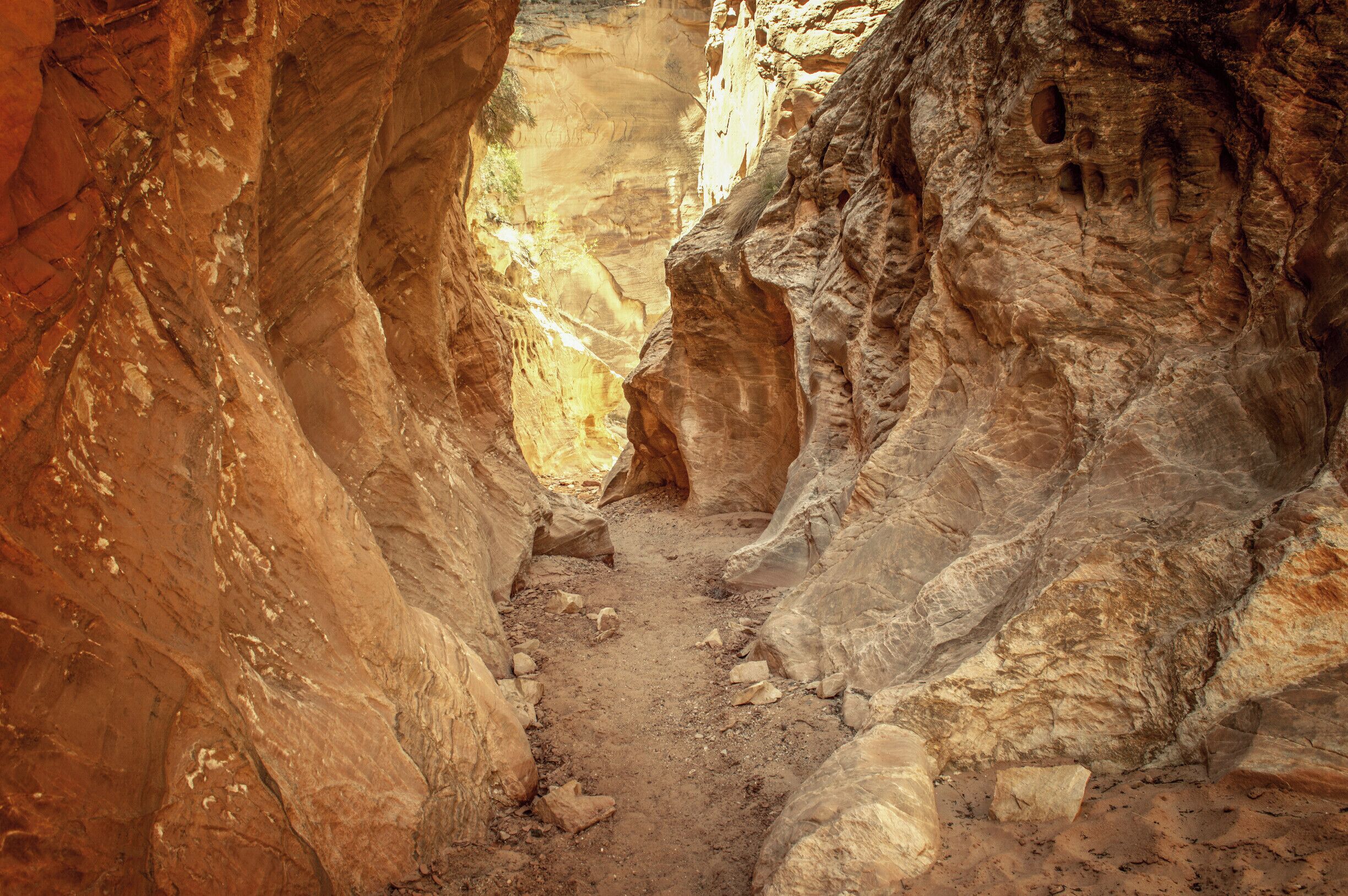 The slot canyons in Grand Staircase-Escalante National Monument are a fascinating and unique hike. Wandering through the narrow canyons and high cliff walls, you sometimes can barely see the trail in front of you as it twists and turns. This trail is the Cottonwood Narrows, which is a relatively easy hike accessed via Road 400. And bonus for dog owners - dogs are allowed to hike with you! #utah #grandstaircase #dogfriendly #hiking 
