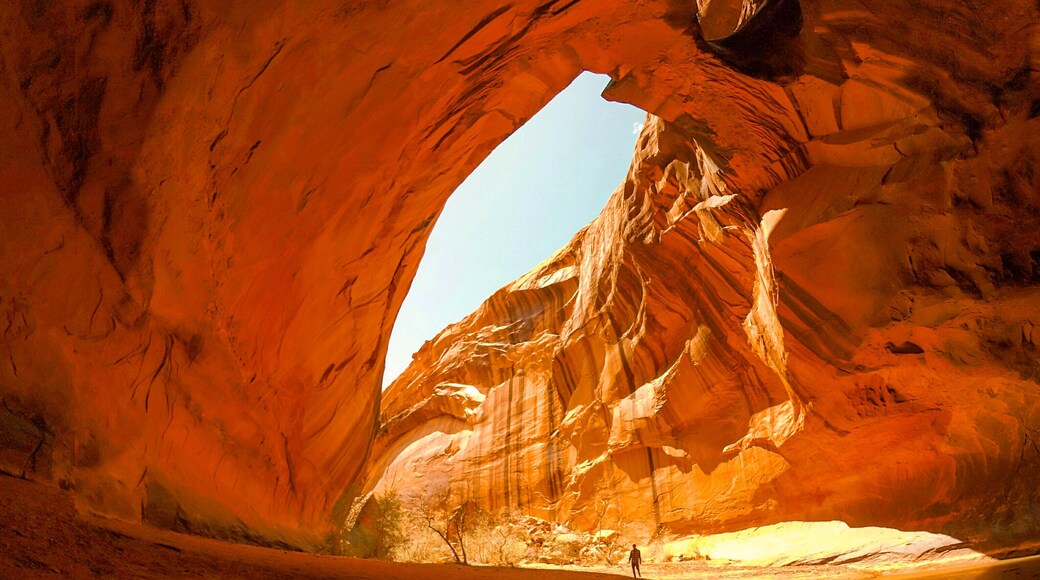 The incredibly beautiful Golden Cathedral. We love Escalante, Utah because it is very underrated and less crowded in comparison to the nearby Zion NP and Bryce Canyon. #Adventure
Quick Tip: Wear water-friendly shoes! You'll have to cross the river a few times to reach the canyon.
