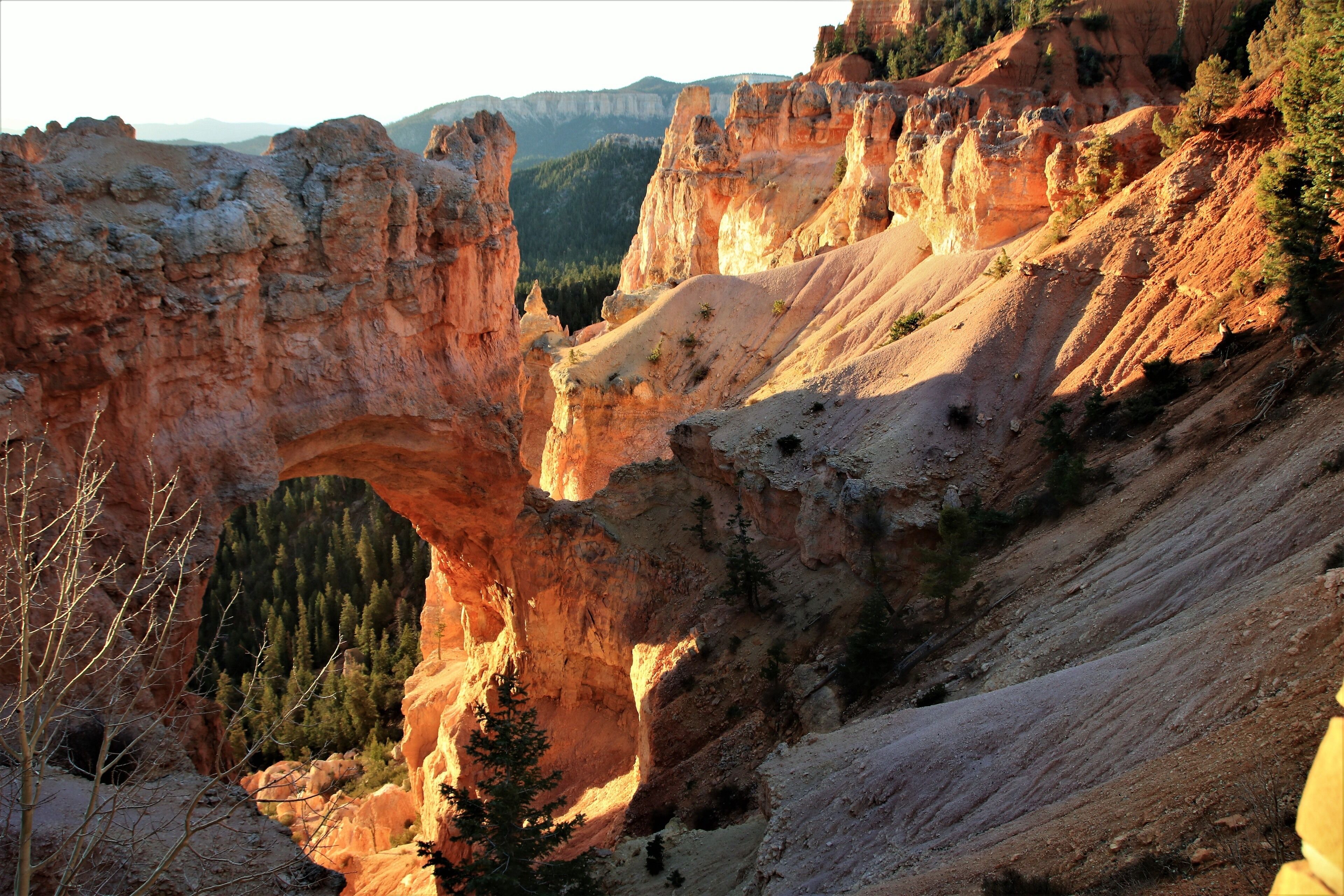 Took this shot one early very cold morning at sunrise,.... looking through the Natural Bridge Arch at Bryce Canyon Nat'l Park, UT.