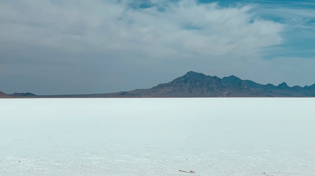 A whole expanse of white that looks like snow, but it isn’t. This is the great salt lake flats of Utah, a densely packed salt pan in Tooele County in northwestern Utah. The area is a remnant of the Pleistocene Lake Bonneville and is the largest of many salt flats located west of the Great Salt Lake. The property is public land managed by the Bureau of Land Management and is known for land speed records at the "Bonneville Speedway". Access to the flats is open to the public.
#Nature