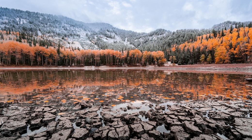 4 am hikes to fall colors topped with snow are the best hikes!
#adventure #sonyimages #sonyalpha #bealpha #sony