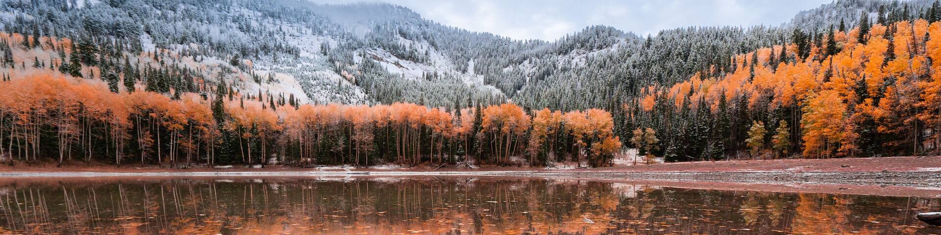 A lake with cracked ice, reflecting orange trees and snow-covered mountains.