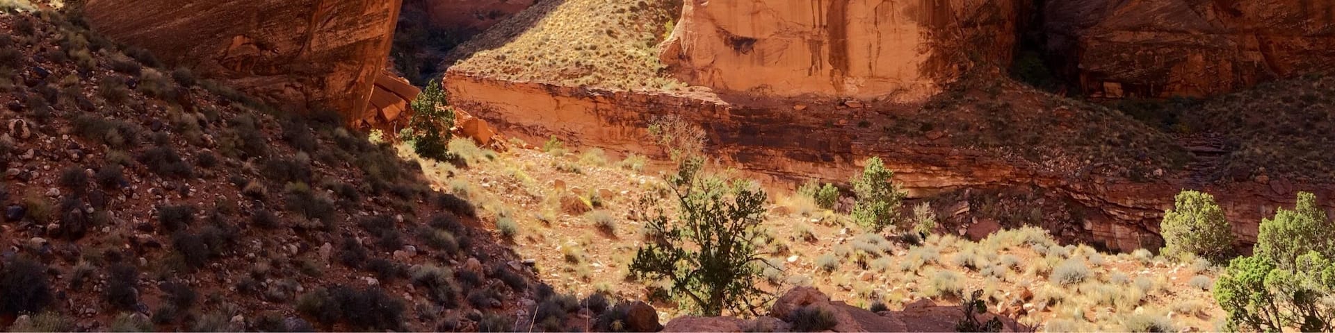 Una gran formación rocosa en forma de arco en un paisaje desértico.