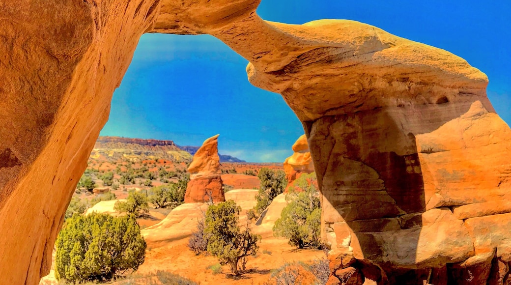 Devil’s Garden south of Escalante Utah. The prefect location for a spring break in the desert. This is the Metate Arch, there was another but not so special. Only about twelve mile down the “hole in the rock road”south of Escalante. Easily passable with a regular two wheel drive car. There are many and varied rock features,this is just one of many. 🌵☀️