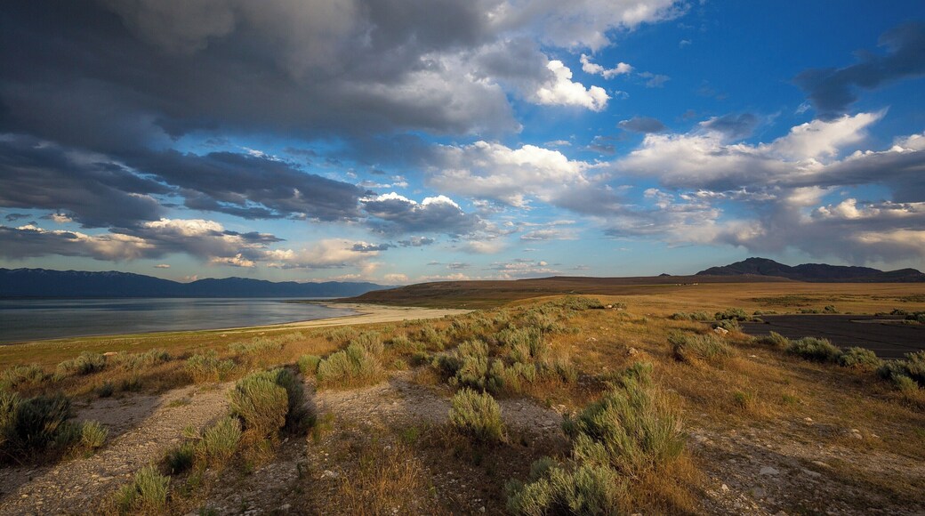 Antelope Island is beautiful state park just north of Salt Lake City on the Great Salt Lake. It is a nature reserve with bison, antelope (duh!) and some sweet Burrowing owls. This picture is east from the Visitor Center over the beach at Buffalo Bay.
#LifeAtExpedia
#Beaches