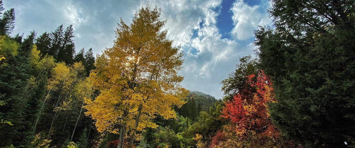One of the canyon roads, just outside of Park City
