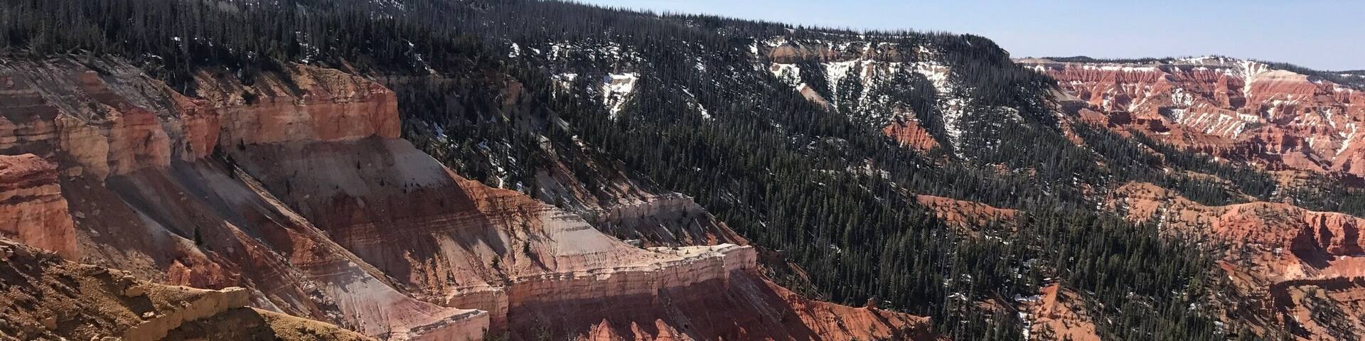 A canyon with red rock formations and a forested mountain range.