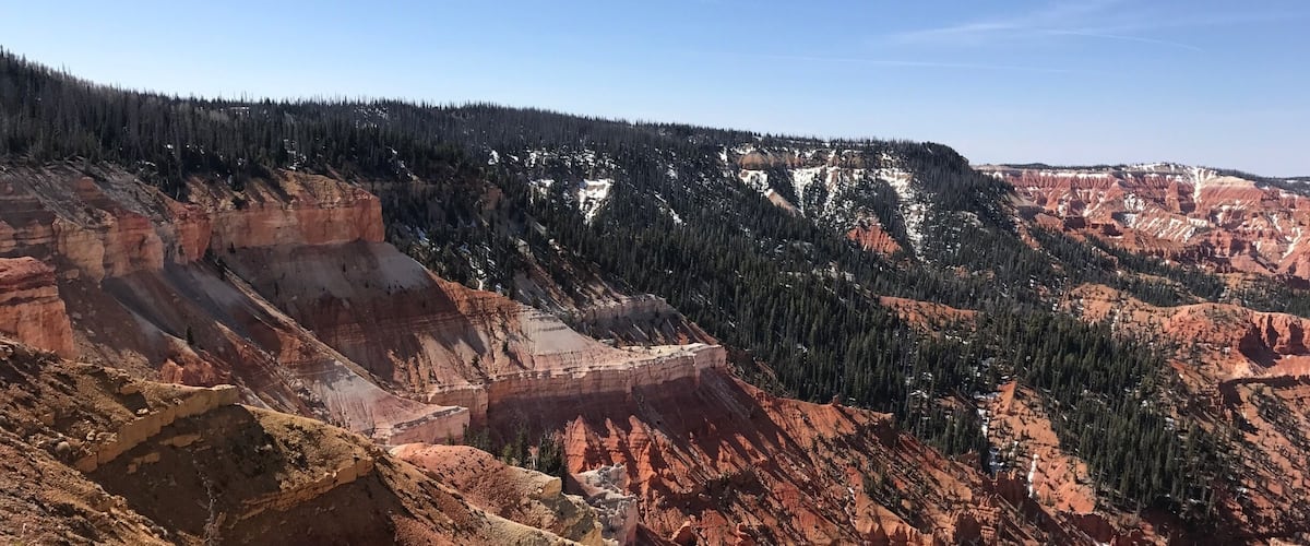 A canyon with red rock formations and a forested mountain range.