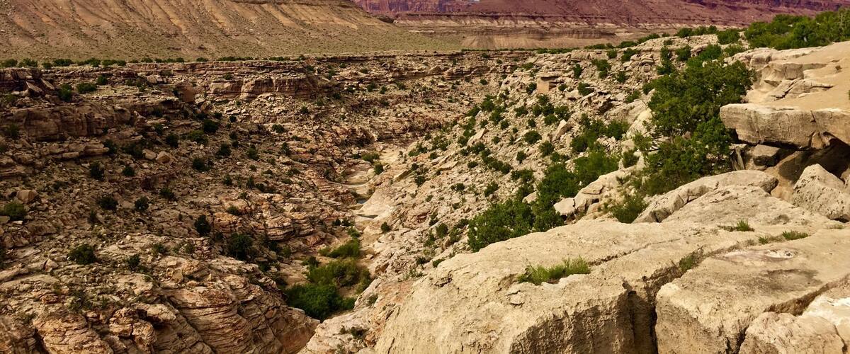 Cool viewpoint on I70 in Utah. Was on a road trip from Vegas to Denver.
This drive is so scenic that it hardly seemed like 12 hours.