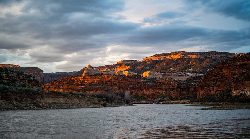 This was a trip down ruby and horse thief canyon. I used to guide for the Colorado Mesa University outdoor program, and this was during a trip I led. #adventure