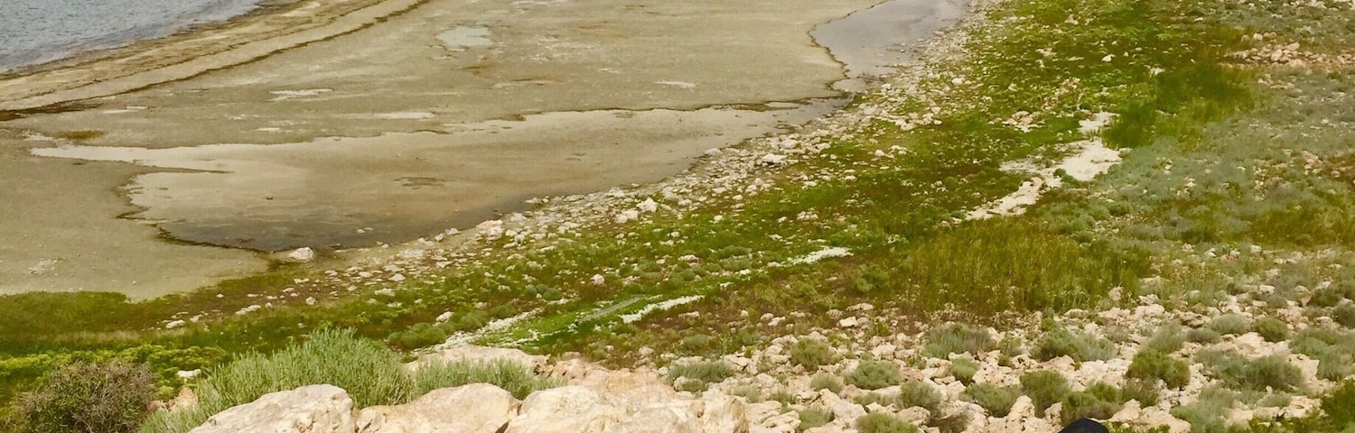 Gazing into the distance enjoying the incredible view of salt lake.