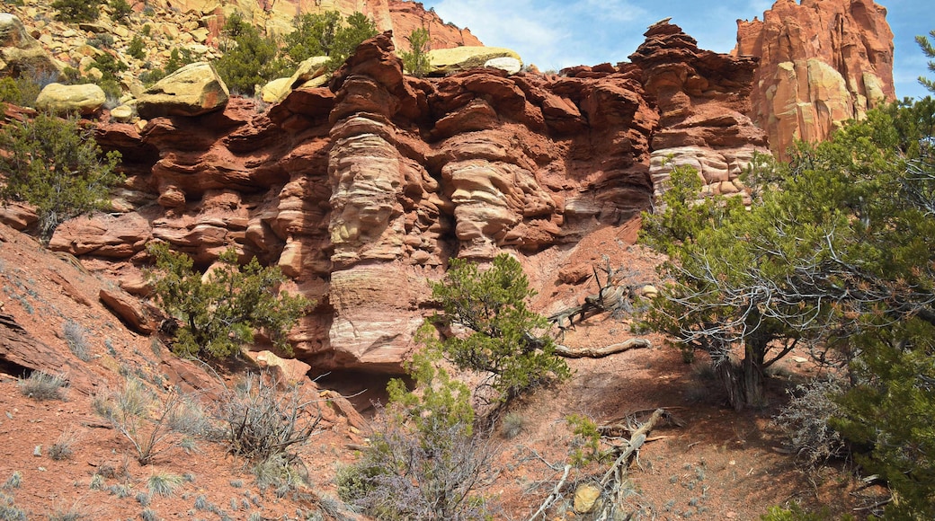 If you find youraelf in Long Canyon on the Burr Trail it often pays to get out of your car and wander around a little. It's quite amazing just how it can open up photographic opportunities such as this.