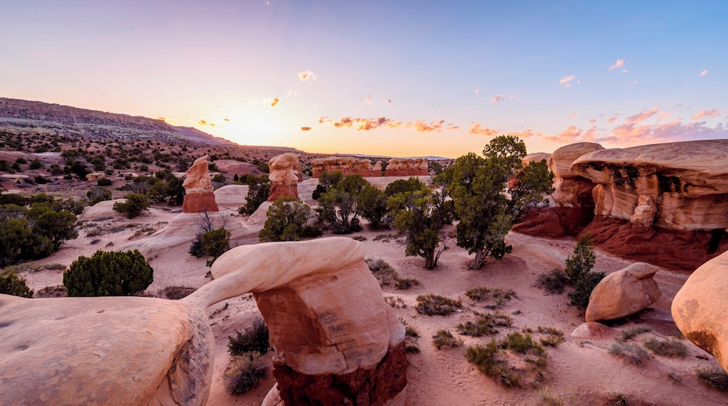 Sunset in Devils Garden.