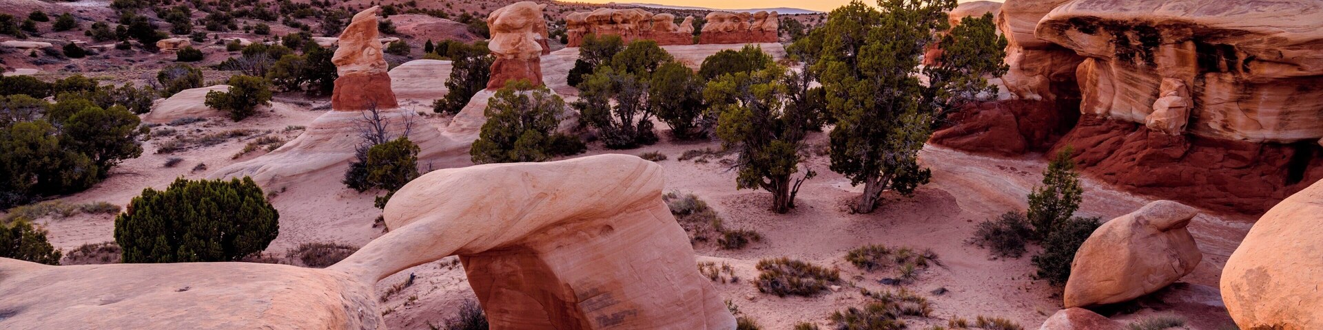 Sunset in Devils Garden.