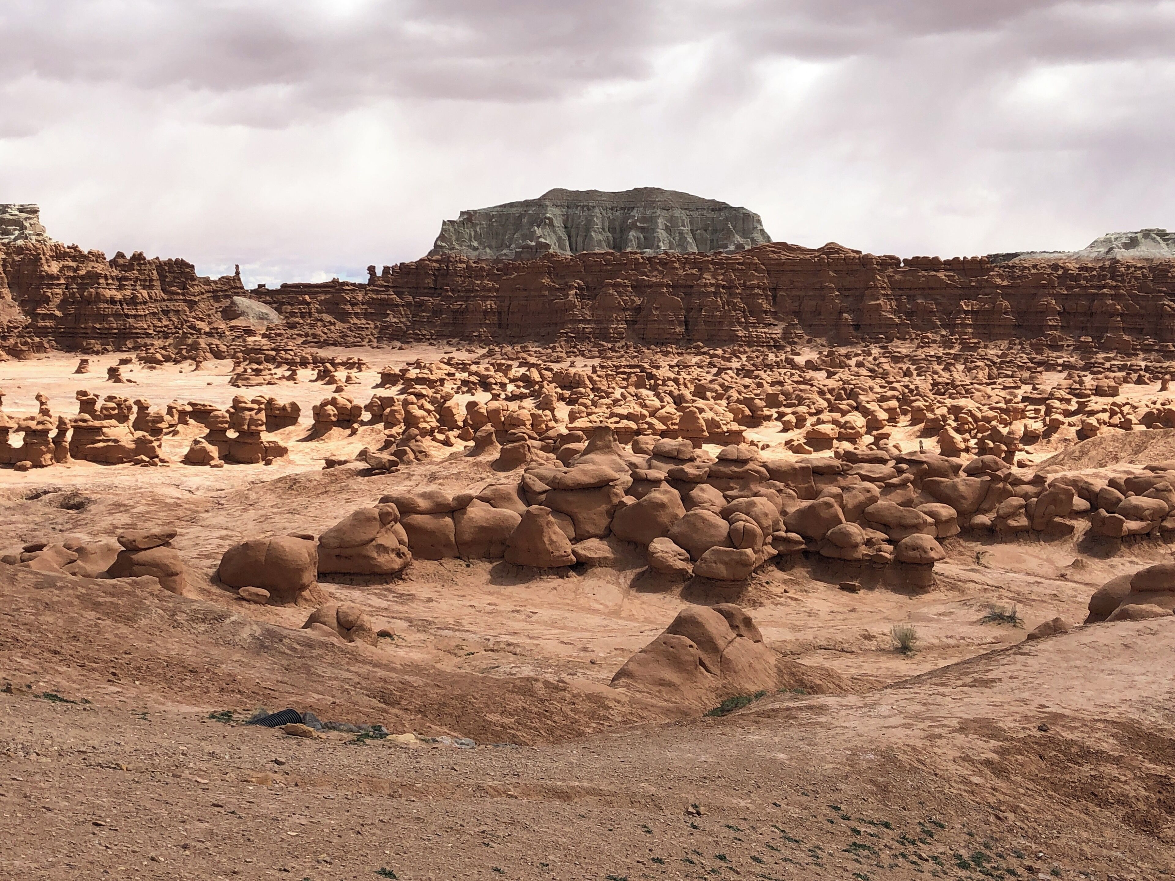 The sky this day brought the goblins to life.