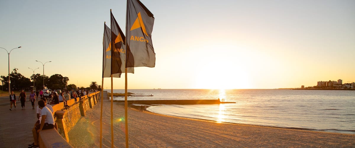 Montevideo showing a sunset and a sandy beach