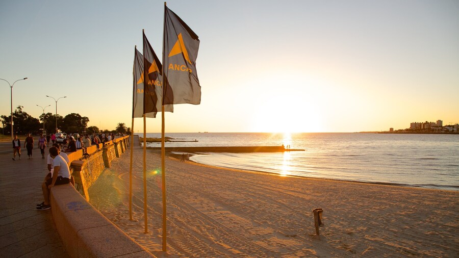 Montevideo showing a sunset and a sandy beach