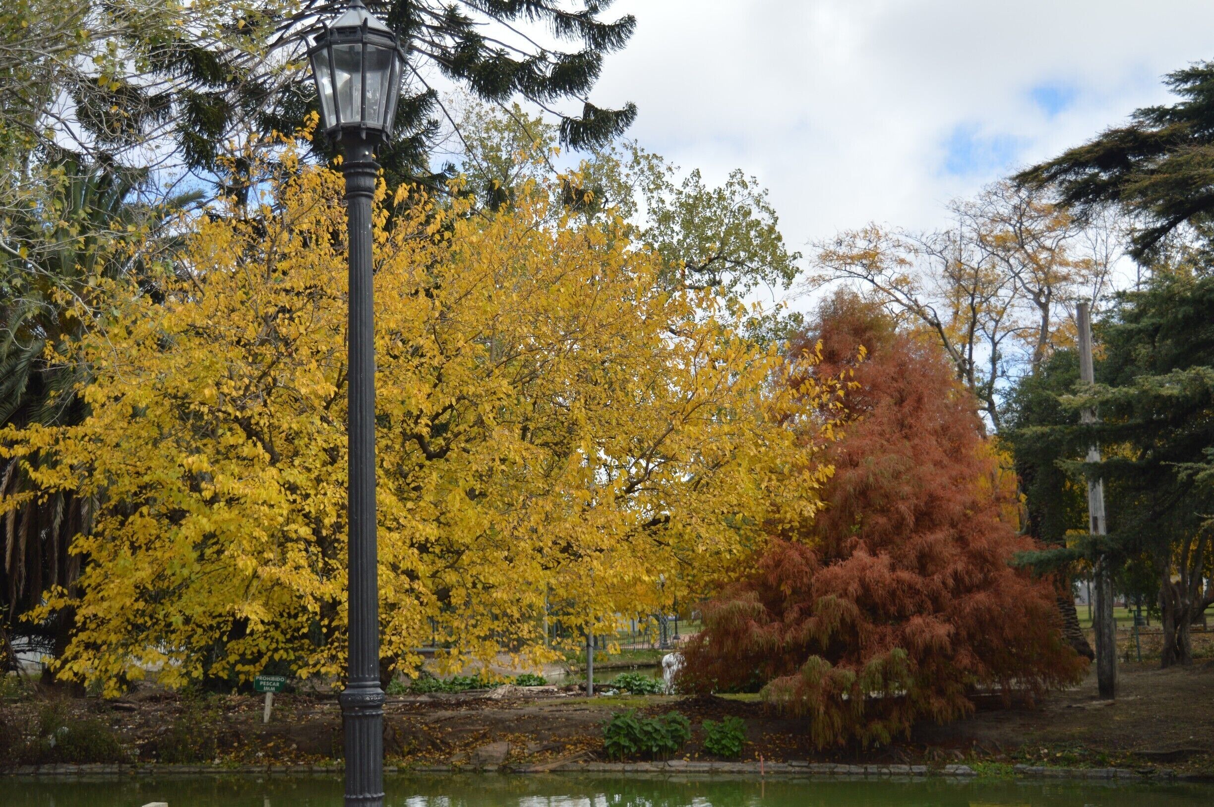 Colores de otoño...
