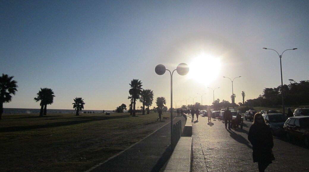 La Rambla de Montevideo. A long promenade along the coast. Was quite chilly while we were there, but it was beautiful nonetheless.