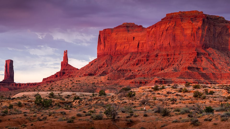 A desert landscape with red rock formations and sparse vegetation.