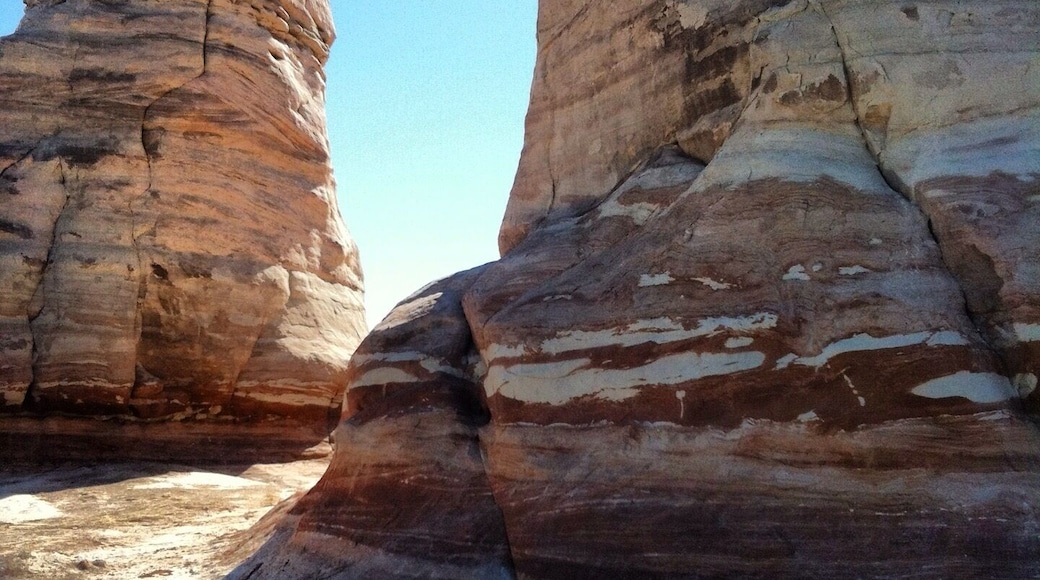 Elephants feet. Rock formations in #Arizona.