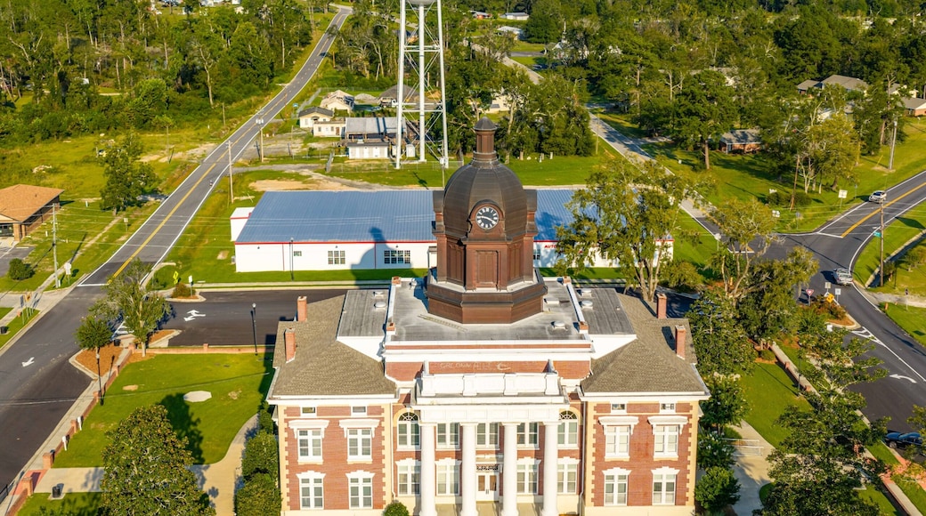Mount Vernon, Georgia
