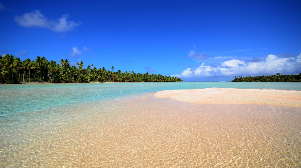 A beach in a tropical paradise setting in Polynesia Mataiva island Pacific Ocean