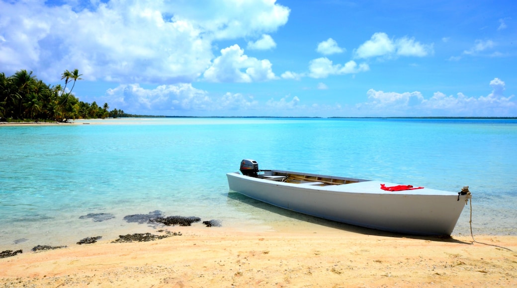 Turquoise Lagoon and White Sand Beach in Mataiva, French Polynesia
