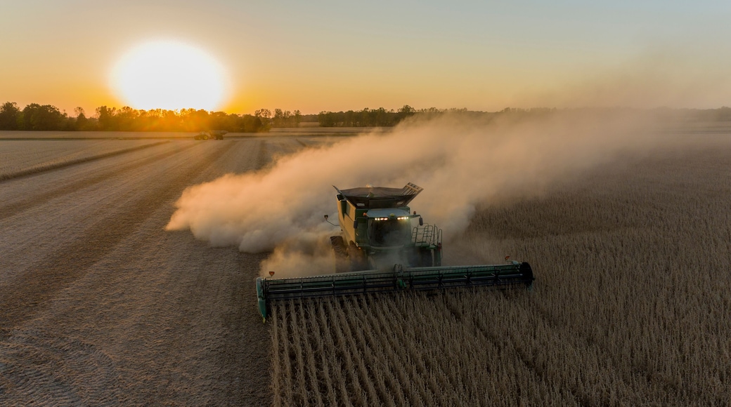 Aerial view of combines harvesting soybean field at sunset, Marion County, Illinois