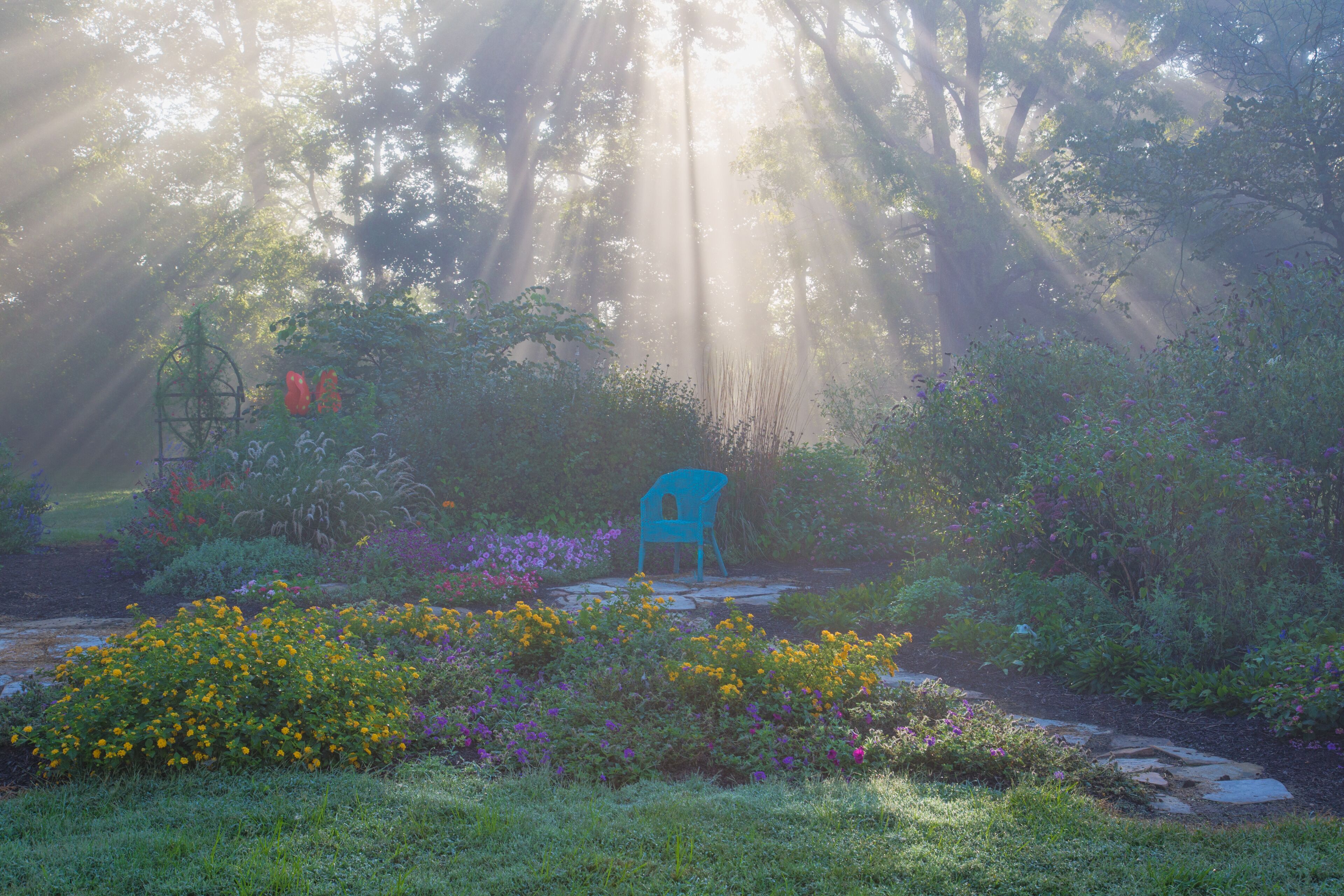 63821-23710 Sun rays in fog in flower garden, Marion Co., IL