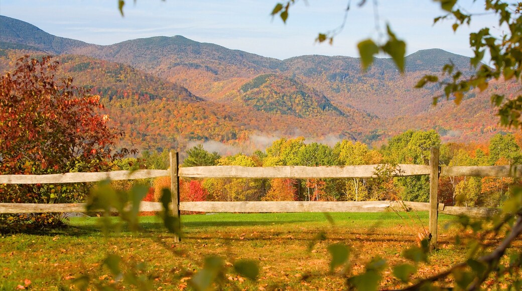 Vermont which includes autumn leaves, landscape views and mountains
