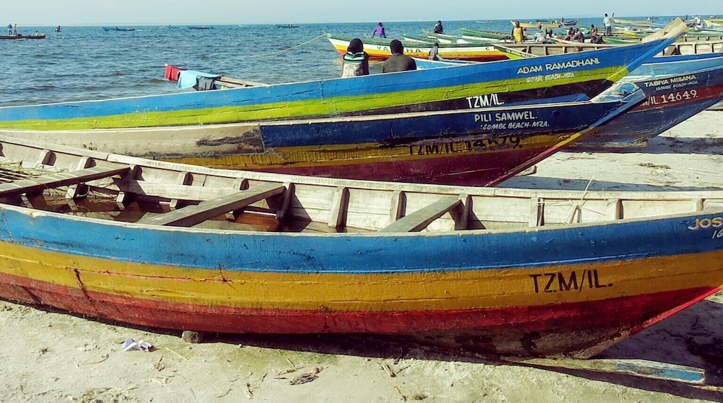 #Blue, My journey to Ilemela district in Mwanza. I came across Igombe village, it is along the Lake Victoria a place where you can find fresh water fish like Tilapia and Nile peach.
This is a place where you can get a lot of fish and clear your mind with waves and cool air from the lake Victoria. Karibu