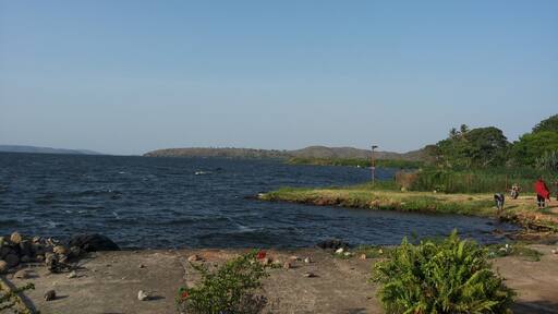 #Blue, the beauty of Kamanga ferry. You can get fresh fish here